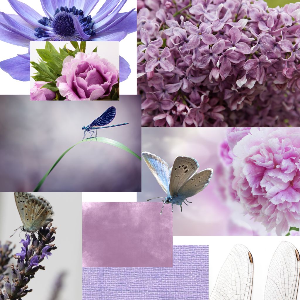 mood board lilla rosa farfalle coordinato grafico